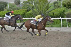 ΙΠΠΟΔΡΟΜΟΣ ΚΥΠΡΟΣ / IPPODROMOS KYPROS ΜΙΡΑΖ - 21/02/2026