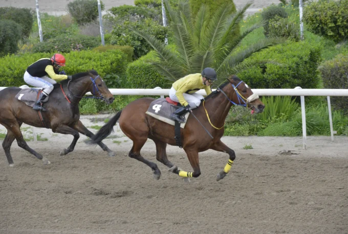 ΙΠΠΟΔΡΟΜΟΣ ΚΥΠΡΟΣ / IPPODROMOS KYPROS ΜΙΡΑΖ - 21/02/2026