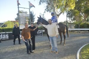 ΙΠΠΟΔΡΟΜΟΣ ΚΥΠΡΟΣ / IPPODROMOS KYPROS ΣΕΡ ΔΗΜΗΤΡΗΣ - 15/02/2026