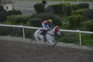 ΙΠΠΟΔΡΟΜΟΣ ΚΥΠΡΟΣ / IPPODROMOS KYPROS ΒΕΝΤΟ ΣΙΑΚΙΡΑ - 04/02/2026