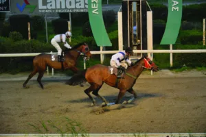 ΙΠΠΟΔΡΟΜΟΣ ΚΥΠΡΟΣ / IPPODROMOS KYPROS  ΒΡΑΚΑΣ ΛΕΓΚΑΣΥ - 01/02/2026