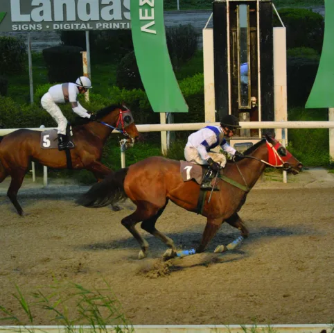 ΙΠΠΟΔΡΟΜΟΣ ΚΥΠΡΟΣ / IPPODROMOS KYPROS  ΒΡΑΚΑΣ ΛΕΓΚΑΣΥ - 01/02/2026