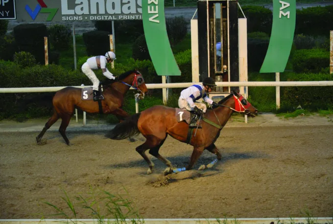 ΙΠΠΟΔΡΟΜΟΣ ΚΥΠΡΟΣ / IPPODROMOS KYPROS  ΒΡΑΚΑΣ ΛΕΓΚΑΣΥ - 01/02/2026