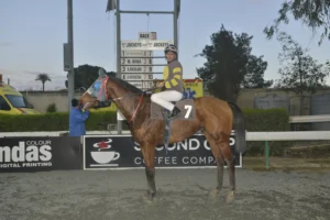 ΙΠΠΟΔΡΟΜΟΣ ΚΥΠΡΟΣ / IPPODROMOS KYPROS ΝΤΟΥΚΑΛ ΙΩΑΝΝΗΣ 18/02/2026