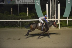 ΙΠΠΟΔΡΟΜΟΣ ΚΥΠΡΟΣ / IPPODROMOS KYPROS ΑΜΑΡΤΙΑ 18/02/2026