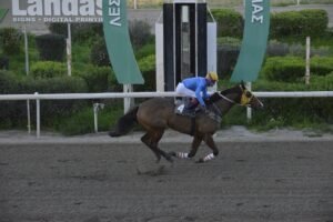 ΙΠΠΟΔΡΟΜΟΣ ΚΥΠΡΟΣ / IPPODROMOS KYPROS ΑΝΔΡΙΑΝΗΣΤΑΝΚΕΡΤΟΝ - 15/02/2026