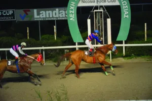 ΙΠΠΟΔΡΟΜΟΣ ΚΥΠΡΟΣ / IPPODROMOS KYPROS  ΑΝΔΡΟΜΕΝΗΣ - 01/02/2026