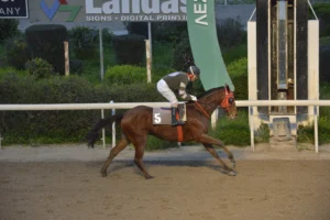 ΙΠΠΟΔΡΟΜΟΣ ΚΥΠΡΟΣ / IPPODROMOS KYPROS ΑΡΛΕΚΙΝΟΣ - 21/02/2026