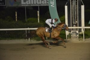 ΙΠΠΟΔΡΟΜΟΣ ΚΥΠΡΟΣ / IPPODROMOS KYPROS ΕΡΟΡΑ - 25/02/2026