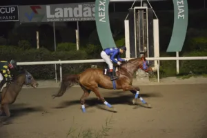 ΙΠΠΟΔΡΟΜΟΣ ΚΥΠΡΟΣ / IPPODROMOS KYPROS ΚΙΝΥΡΑΣ - 04/02/2026