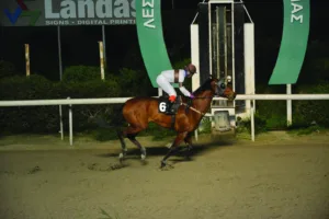 ΙΠΠΟΔΡΟΜΟΣ ΚΥΠΡΟΣ / IPPODROMOS KYPROS  ΕΛΟΝΑ - 01/02/2026