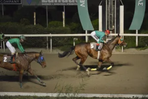 ΙΠΠΟΔΡΟΜΟΣ ΚΥΠΡΟΣ / IPPODROMOS KYPROS ΧΑΒΑΗ ΜΑΤΖΕΣΤΙΚ - 04/02/2026