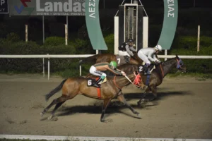 ΙΠΠΟΔΡΟΜΟΣ ΚΥΠΡΟΣ / IPPODROMOS KYPROS ΧΑΒΑΗ ΚΟΥΗΝΣ 18/02/2026