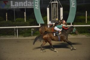 ΙΠΠΟΔΡΟΜΟΣ ΚΥΠΡΟΣ / IPPODROMOS KYPROS ΣΑΝΤΑΣ ΚΡΙΣ - 15/02/2026