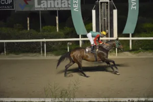 ΙΠΠΟΔΡΟΜΟΣ ΚΥΠΡΟΣ / IPPODROMOS KYPROS ΣΑΝΤΑΣ ΓΟΥΙΖΝΤΟΜ - 08/02/2026