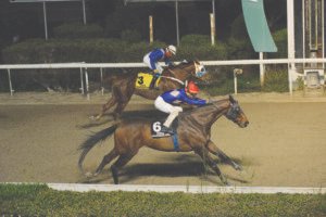 ΙΠΠΟΔΡΟΜΟΣ ΚΥΠΡΟΣ / IPPODROMOS KYPROS