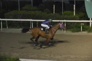 ΙΠΠΟΔΡΟΜΟΣ ΚΥΠΡΟΣ / IPPODROMOS KYPROS ΘΑΡΡΑΛΕΟΣ - 21/02/2026