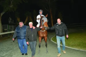 ΙΠΠΟΔΡΟΜΟΣ ΚΥΠΡΟΣ / IPPODROMOS KYPROS  ΕΛΟΝΑ - 01/02/2026