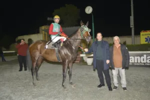 ΙΠΠΟΔΡΟΜΟΣ ΚΥΠΡΟΣ / IPPODROMOS KYPROS ΣΑΝΤΑΣ ΓΟΥΙΖΝΤΟΜ - 08/02/2026