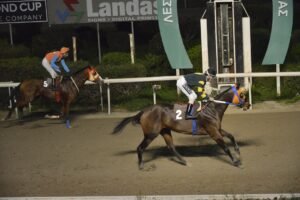 ΙΠΠΟΔΡΟΜΟΣ ΚΥΠΡΟΣ / IPPODROMOS KYPROS ΔΙΚΕΦΑΛΟΣ - 15/02/2026