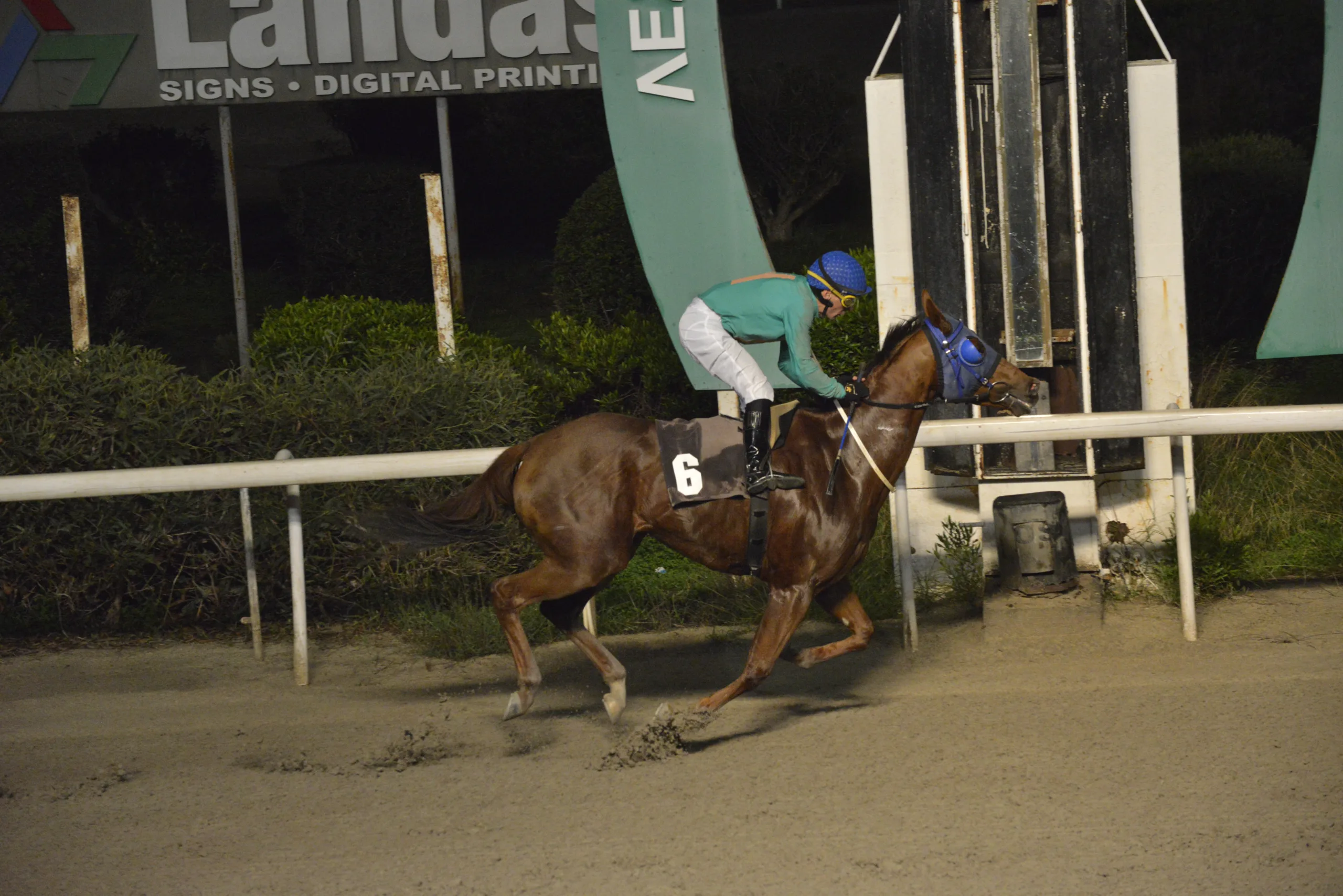 ΙΠΠΟΔΡΟΜΟΣ ΚΥΠΡΟΣ / IPPODROMOS KYPROS