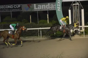 ΙΠΠΟΔΡΟΜΟΣ ΚΥΠΡΟΣ / IPPODROMOS KYPROS ΑΙΡΟΝΧΑΡΤ - 08/02/2026