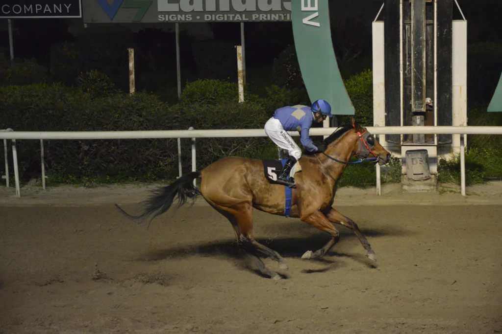 ΙΠΠΟΔΡΟΜΟΣ ΚΥΠΡΟΣ / IPPODROMOS KYPROS ΚΑΡΑΜΠΙΝΑ - 21/02/2026