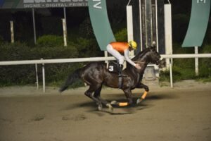 ΙΠΠΟΔΡΟΜΟΣ ΚΥΠΡΟΣ / IPPODROMOS KYPROS ΚΙΝΓΚ ΒΑΚΛΑΣ - 25/02/2026