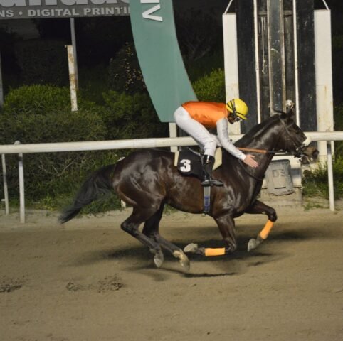 ΙΠΠΟΔΡΟΜΟΣ ΚΥΠΡΟΣ / IPPODROMOS KYPROS ΚΙΝΓΚ ΒΑΚΛΑΣ - 25/02/2026