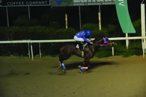 ΙΠΠΟΔΡΟΜΟΣ ΚΥΠΡΟΣ / IPPODROMOS KYPROS ΜΕΓΑΛΟΠΡΕΠΗΣ - 11/02/2026