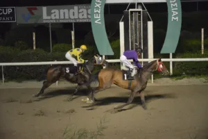 ΙΠΠΟΔΡΟΜΟΣ ΚΥΠΡΟΣ / IPPODROMOS KYPROS ΨΗΛΟΣ - 04/02/2026