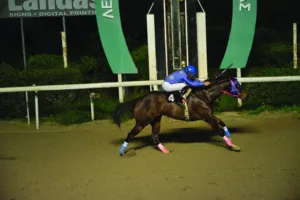 ΙΠΠΟΔΡΟΜΟΣ ΚΥΠΡΟΣ / IPPODROMOS KYPROS ΜΕΓΑΛΟΠΡΕΠΗΣ - 11/02/2026