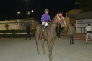 ΙΠΠΟΔΡΟΜΟΣ ΚΥΠΡΟΣ / IPPODROMOS KYPROS ΨΗΛΟΣ - 04/02/2026