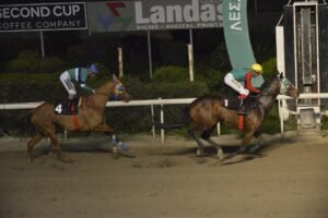 ΙΠΠΟΔΡΟΜΟΣ ΚΥΠΡΟΣ / IPPODROMOS KYPROS ΓΚΛΟΡΙΟΥΣ - 25/02/2026