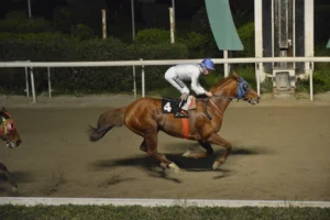 ΙΠΠΟΔΡΟΜΟΣ ΚΥΠΡΟΣ / IPPODROMOS KYPROS ΜΙΚΡΟΣ ΚΥΡΙΑΚΟΣ - 21/02/2026