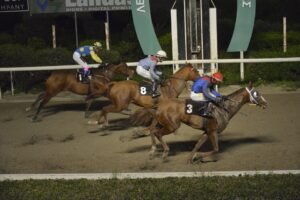 ΙΠΠΟΔΡΟΜΟΣ ΚΥΠΡΟΣ / IPPODROMOS KYPROS ΜΗΛΙΩΤΗΣ ΣΙΑΡΛΟΤ - 15/02/2026