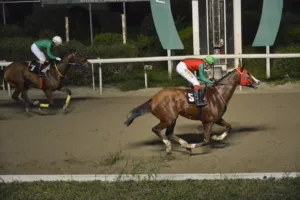 ΙΠΠΟΔΡΟΜΟΣ ΚΥΠΡΟΣ / IPPODROMOS KYPROS ΣΑΝΤΗ ΛΟΥΤΣΙΑΝΟ - 04/02/2026