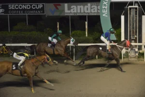 ΙΠΠΟΔΡΟΜΟΣ ΚΥΠΡΟΣ / IPPODROMOS KYPROS ΒΙΤΤΗΣ ΠΑΜΠΟΣ 18/02/2026