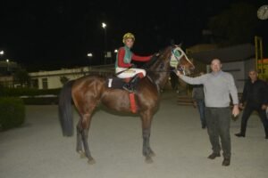 ΙΠΠΟΔΡΟΜΟΣ ΚΥΠΡΟΣ / IPPODROMOS KYPROS ΓΚΛΟΡΙΟΥΣ - 25/02/2026