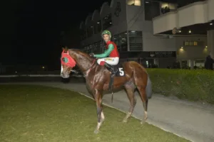 ΙΠΠΟΔΡΟΜΟΣ ΚΥΠΡΟΣ / IPPODROMOS KYPROS ΣΑΝΤΗ ΛΟΥΤΣΙΑΝΟ - 04/02/2026