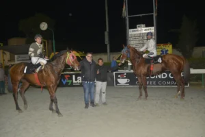 ΙΠΠΟΔΡΟΜΟΣ ΚΥΠΡΟΣ / IPPODROMOS KYPROS ΜΙΚΡΟΣ ΚΥΡΙΑΚΟΣ - 21/02/2026