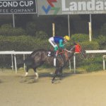 ΙΠΠΟΔΡΟΜΟΣ ΚΥΠΡΟΣ / IPPODROMOS KYPROS