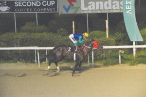 ΙΠΠΟΔΡΟΜΟΣ ΚΥΠΡΟΣ / IPPODROMOS KYPROS