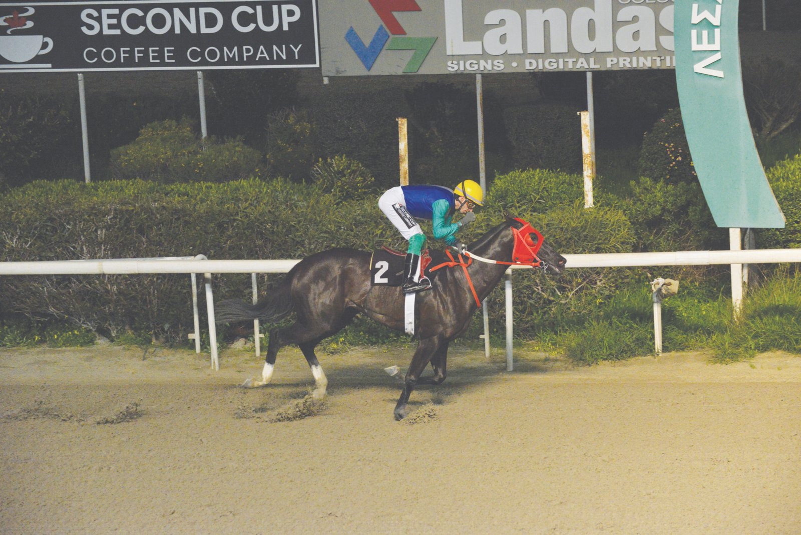 ΙΠΠΟΔΡΟΜΟΣ ΚΥΠΡΟΣ / IPPODROMOS KYPROS