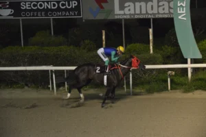 ΙΠΠΟΔΡΟΜΟΣ ΚΥΠΡΟΣ / IPPODROMOS KYPROS ΝΤΡΗΜΕΡ - 18/02/2026