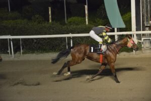 ΙΠΠΟΔΡΟΜΟΣ ΚΥΠΡΟΣ / IPPODROMOS KYPROS ΠΛΟΥΤΑΡΧΟΣ - 25/02/2026