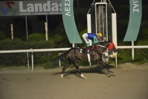 ΙΠΠΟΔΡΟΜΟΣ ΚΥΠΡΟΣ / IPPODROMOS KYPROS ΝΤΡΗΜΕΡ - 18/02/2026