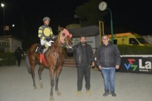 ΙΠΠΟΔΡΟΜΟΣ ΚΥΠΡΟΣ / IPPODROMOS KYPROS ΠΛΟΥΤΑΡΧΟΣ - 25/02/2026