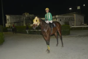 ΙΠΠΟΔΡΟΜΟΣ ΚΥΠΡΟΣ / IPPODROMOS KYPROS ΟΡΚΟΣ ΤΙΜΗΣ - 21/02/2026