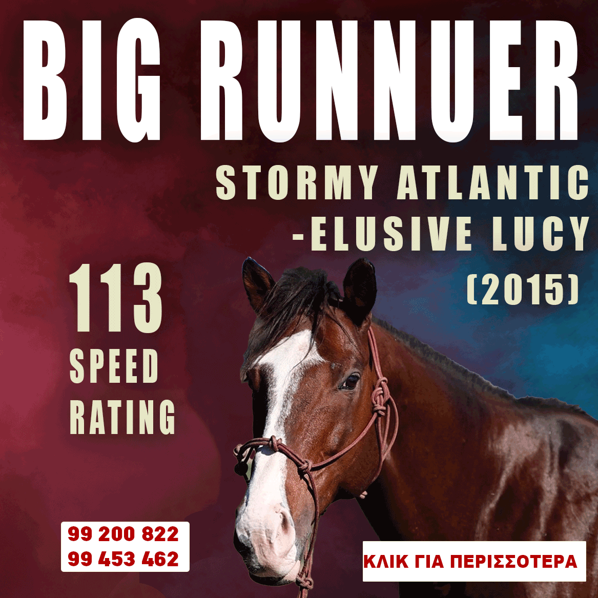 ΙΠΠΟΔΡΟΜΟΣ ΚΥΠΡΟΣ / IPPODROMOS KYPROS